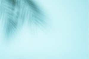 Blue background with palm shadows., an Abstract Photo by Nadia-nb