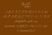 Daniella Megan - Modern Signature, a Handwritten Font by CreateBigSupply (Thumbnail 9 of 9)
