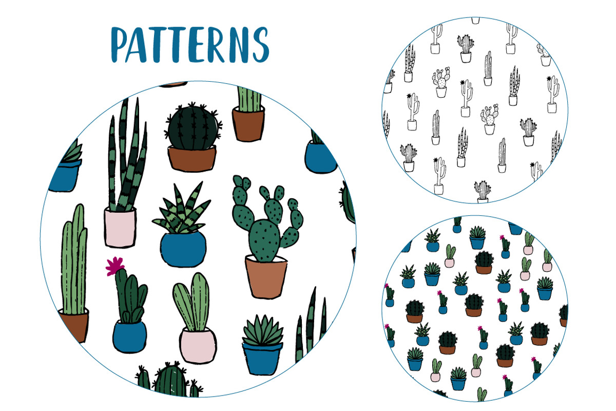 Vector Cacti and Succulents, a Decorative Illustration by 5August Art (Photo 6 of 7)