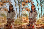 FALL PRESETS for Autumn Photos, a Preset Add-On by AAA Presets (Thumbnail 12 of 22)