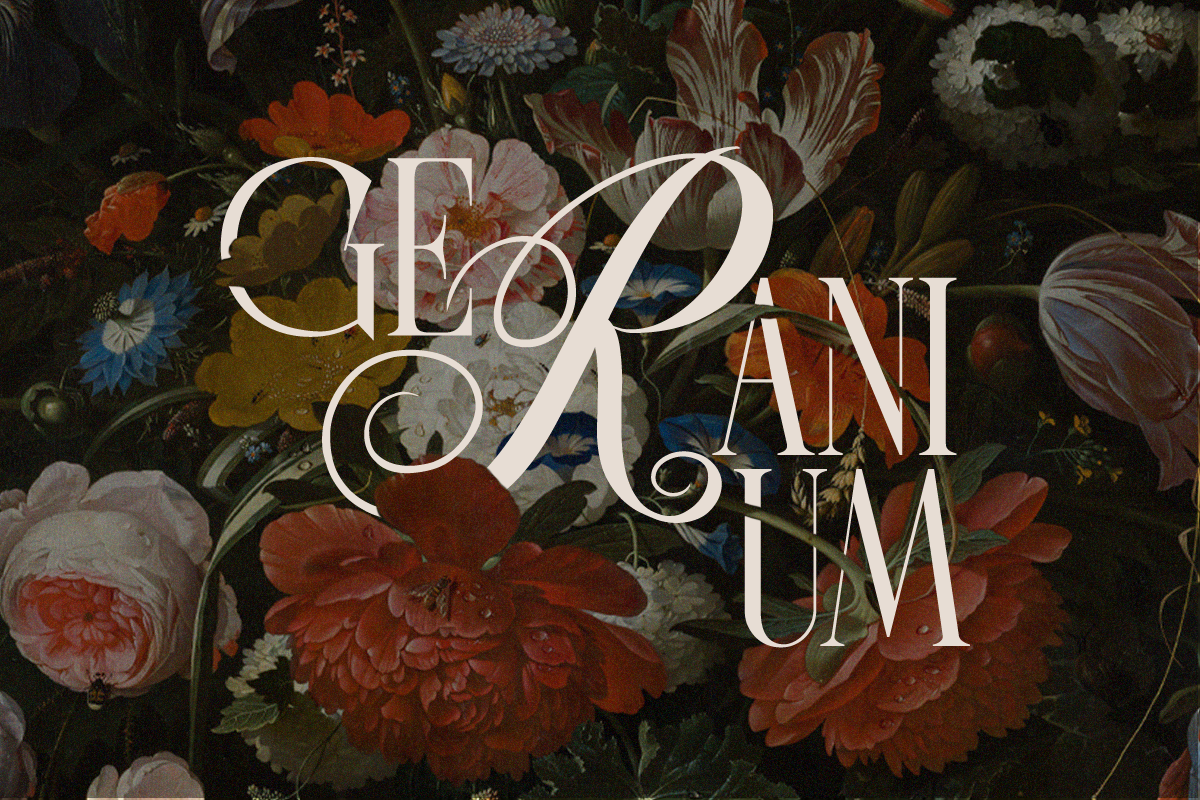 Last Royal - Elegant Serif & Script, a Serif Font by Say Studio (Photo 8 of 13)