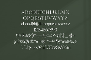 Marllgon Stylish Serif Font