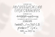 Zofia Larsonty Modern Handwritten, a Script Font by Letterena Studios Script (Thumbnail 13 of 15)