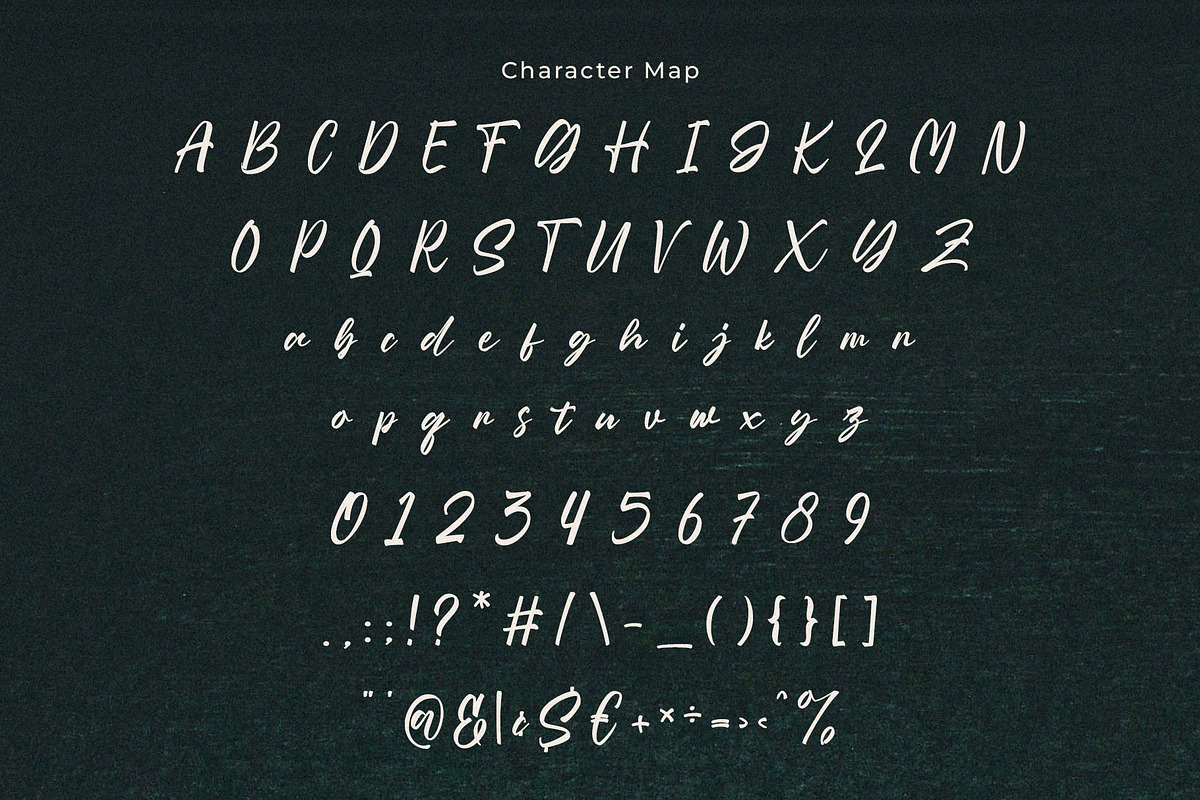 Selindia – Elegant Script Font, a Handwritten Font by BrandSemut (Photo 9 of 11)