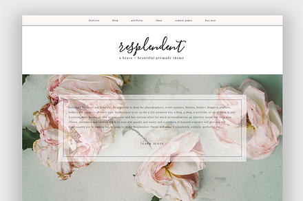Resplendent Wordpress Theme