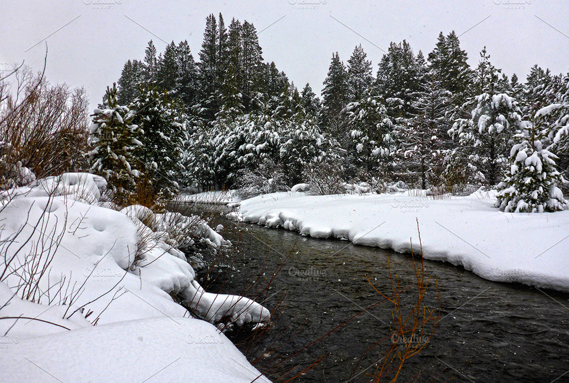 Snowy Riverbank & Forest, a Nature Photo by Jared Manninen