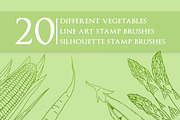 40 Procreate Vegetable Stamp Brushes, a Brush Add-On by BrushBoy (Thumbnail 2 of 4)
