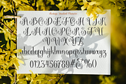 Hentagie Classic Script, a Script Font by madeDeduk (Thumbnail 5 of 11)