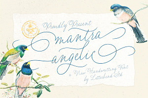 Mantra Angelic Wedding Script, a Script Font by Letterhend Studio