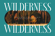 Bestsky Modern Luxury Display Serif, a Serif Font by timelesstype.co (Thumbnail 14 of 20)