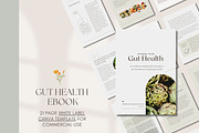 Gut Ebook Canva Template, a Presentation Template by Naturopath Hub (Thumbnail 1 of 9)