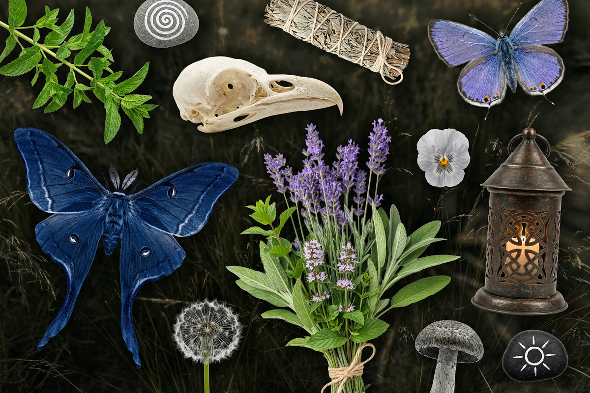 Witch's Magic Garden Collage Kit, an Object Illustration by Vicccky (Photo 5 of 9)