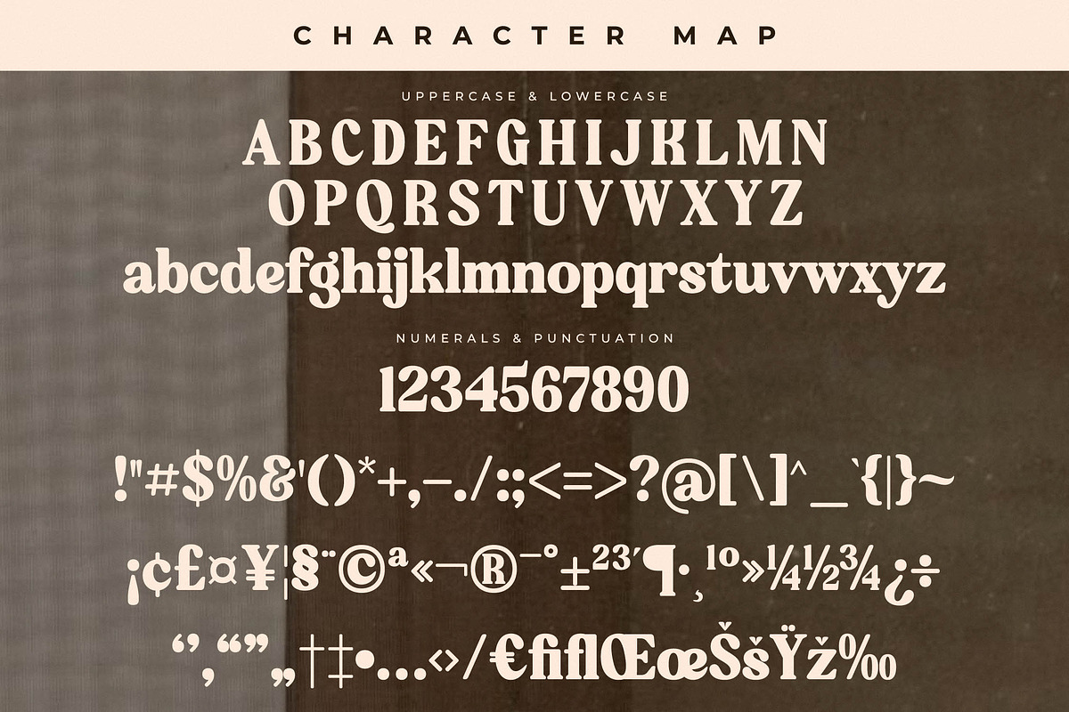 Bristle Radiant Modern Retro Stylish, a Serif Font by Letterena Studios (Photo 13 of 15)