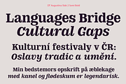 DT Augustina Slab 2 Subfamily, a Slab Serif Font by Deveze Type Foundry (Thumbnail 11 of 30)