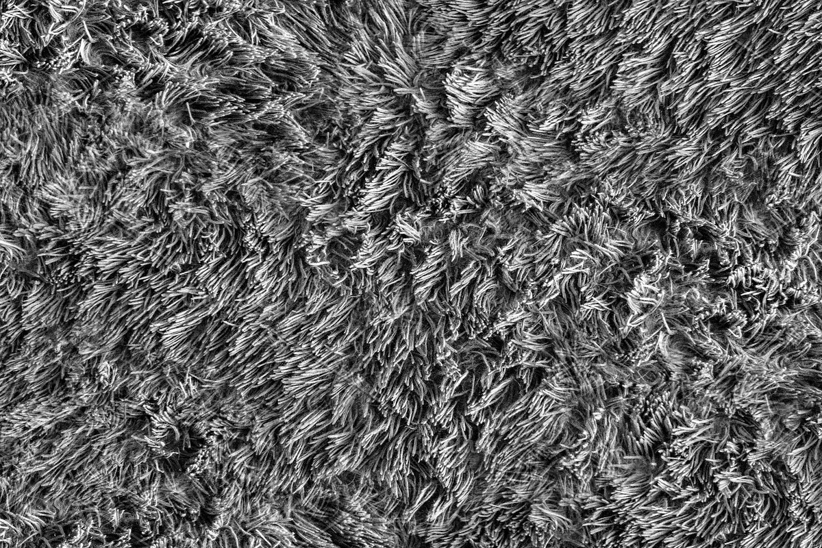 Furry Texture, a Background Photo by MartinShop (Photo 2 of 2)