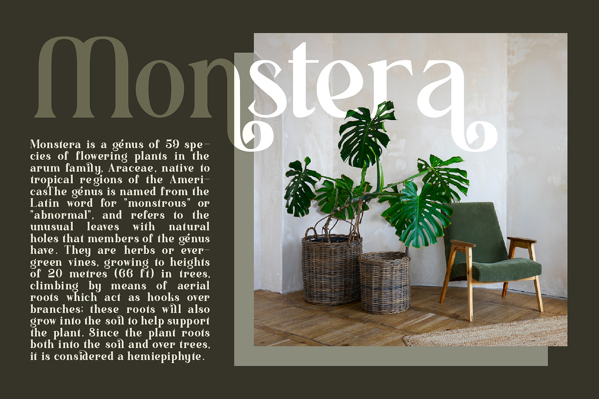 Realugi, a Serif Font by Rishsketch (Photo 5 of 13)