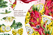 Tropical Dragon Fruit Pitaya Clipart, a Food Illustration by Elena Malgina Clipart (Thumbnail 10 of 12)