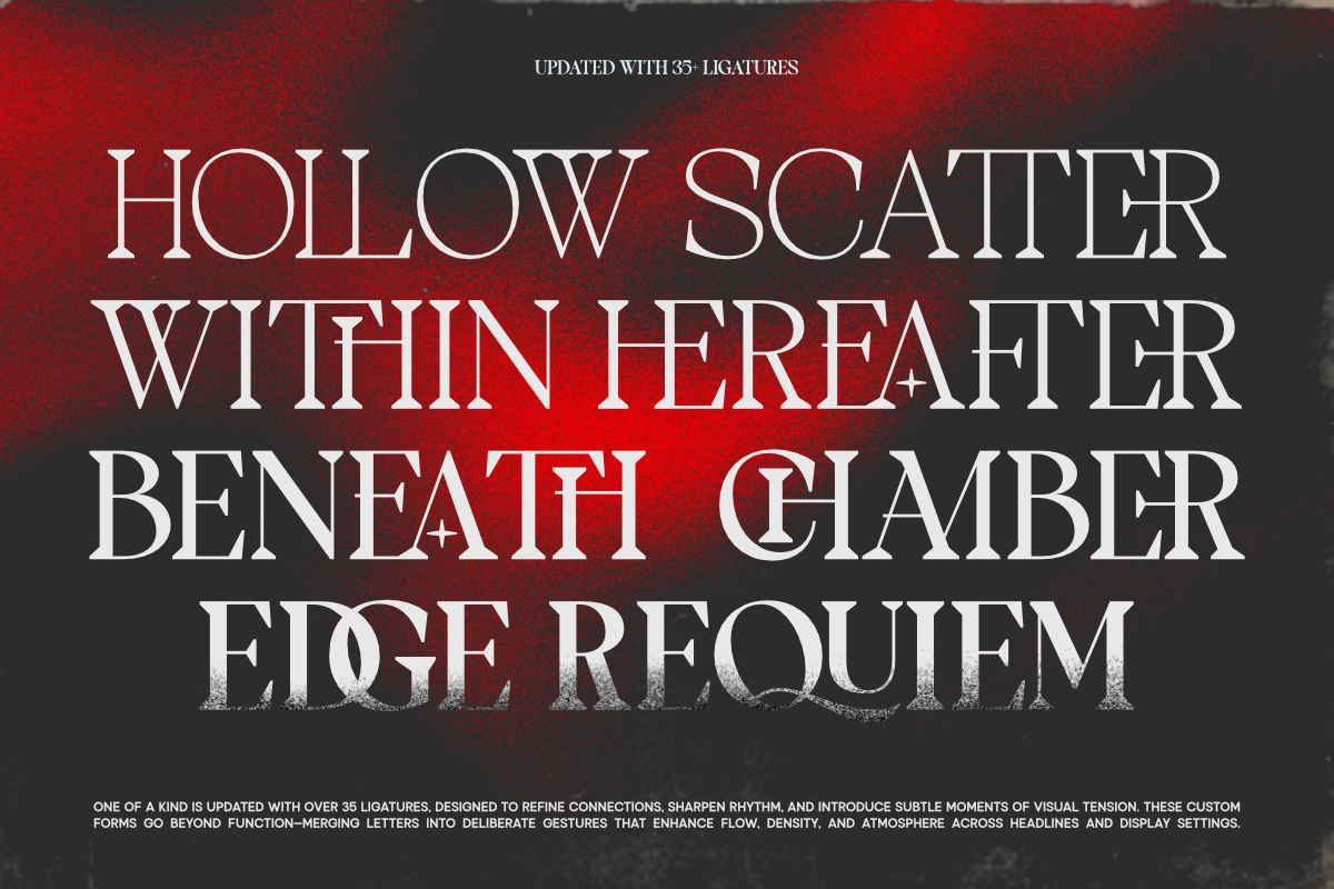 TBJ One Of A Kind Serif Font Family, a Serif Font by Taboja Studio (Photo 18 of 21)