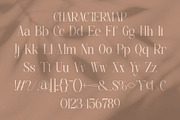 Diseva || Elegant Classy Serif Font, a Serif Font by Ermedia Studio (Thumbnail 8 of 9)