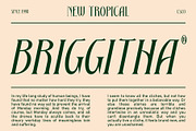 Dallen – Serif Font, a Serif Font by Craft Supply Co. (Thumbnail 4 of 8)