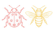 Hand Drawn Insects and Bugs Clipart, an Illustration by Dream Creation (Thumbnail 5 of 5)