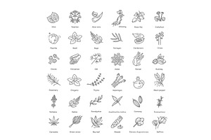 Condiment and herbs icons set, a Food Illustration by Tettygreen