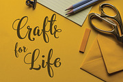 Bargain Script | Seamless Script, a Script Font by Royaltype (Thumbnail 5 of 9)