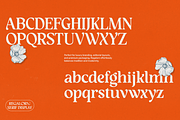 Regalorn - Elegant Serif Display, a Serif Font by Shapespired Design (Thumbnail 18 of 20)
