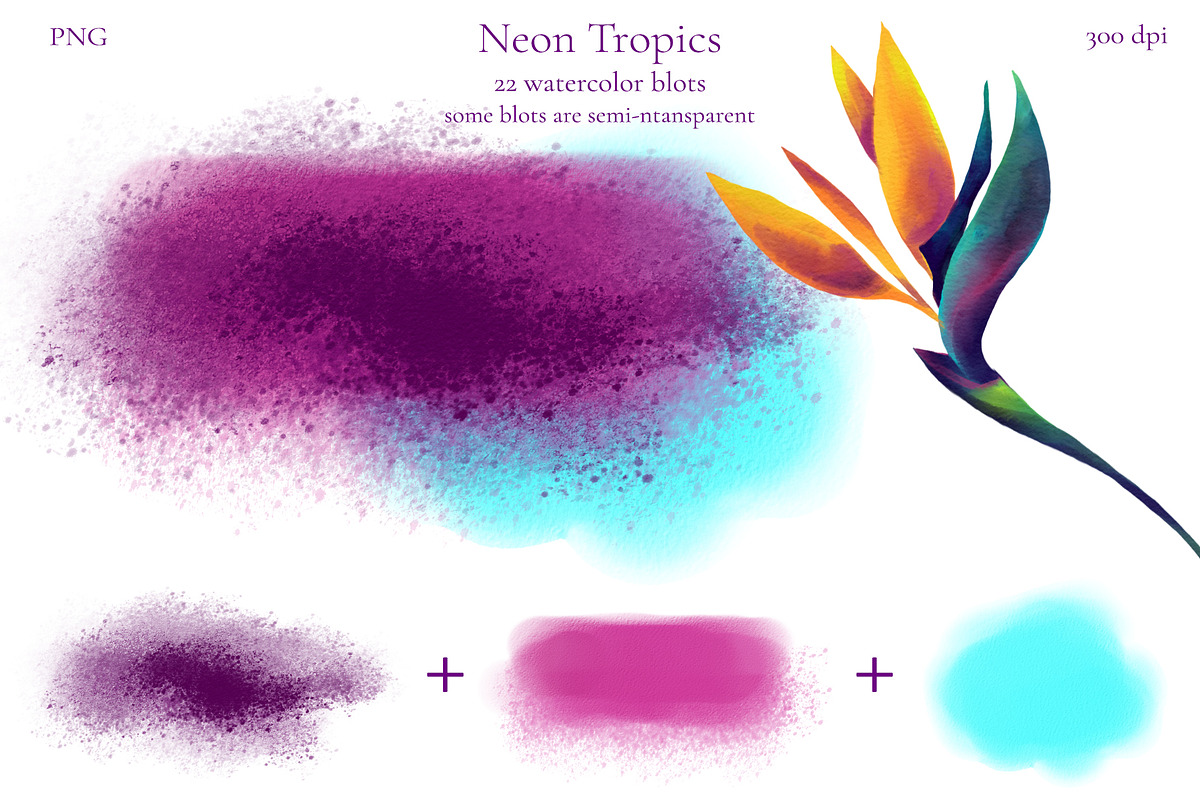 Neon Tropics watercolor, an Object Graphic by Salted Galaxy (Photo 14 of 16)