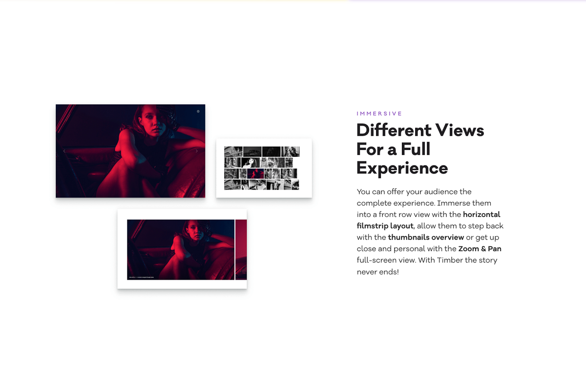 TIMBER - Unusual Photography Theme, a WordPress Template by Pixelgrade (Photo 5 of 5)