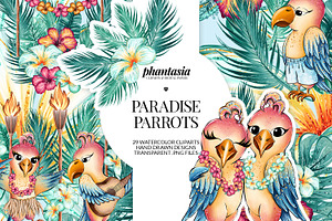 Cute Parrots Watercolor Cliparts