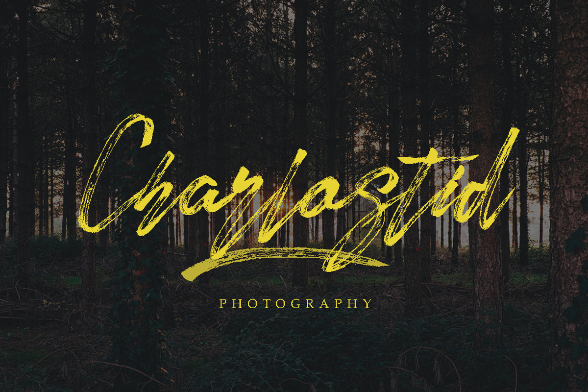 Bettlunerd, a Script Font by MissinkLab Studio (Photo 9 of 9)