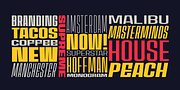 House Sans, a Sans Serif Font by TypeUnion (Thumbnail 4 of 15)