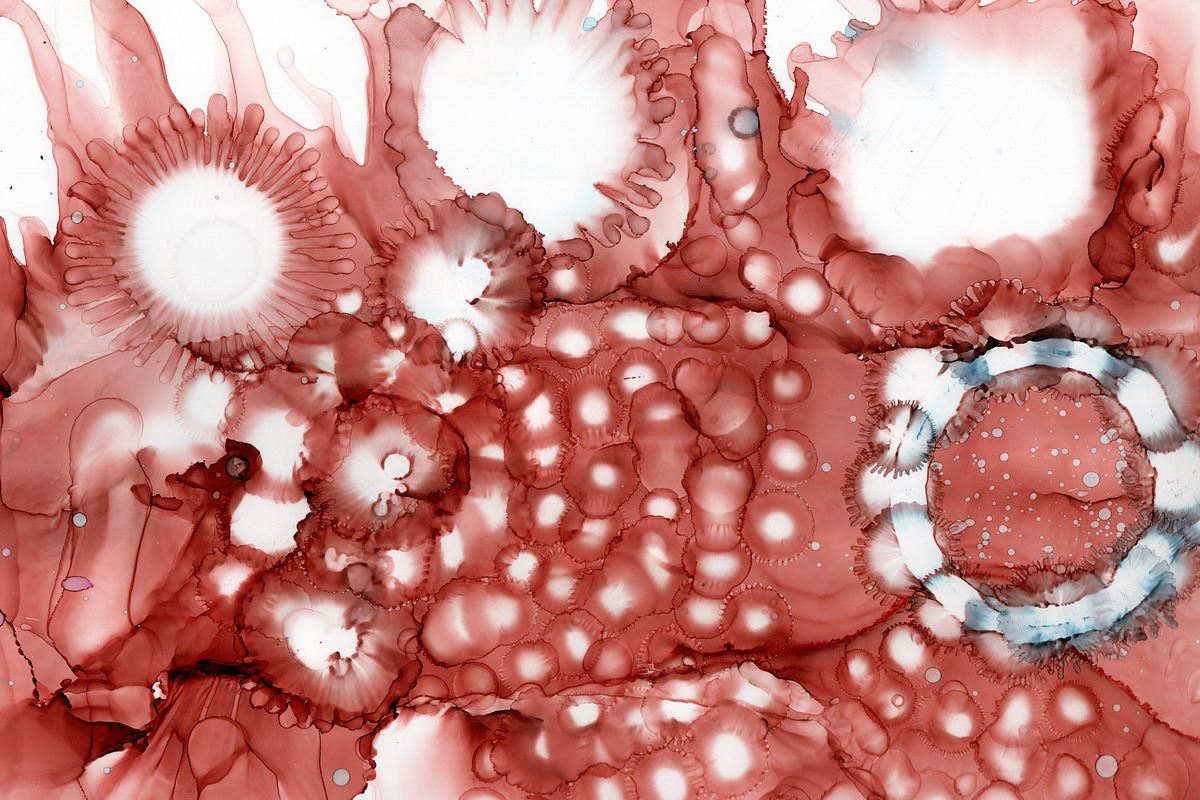 alcohol ink art., an Abstract Photo by zsofiapeto (Photo 1 of 2)