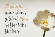 CS Mercy – Script Font, a Script Font by Craft Supply Co. (Thumbnail 2 of 8)