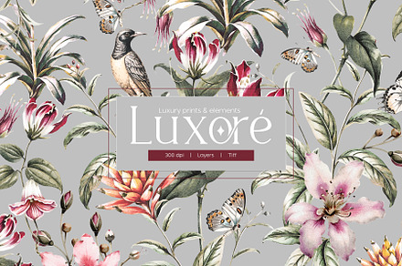 Luxoré | Luxury Patterns & Motifs, a Pattern Graphic by LEAFure