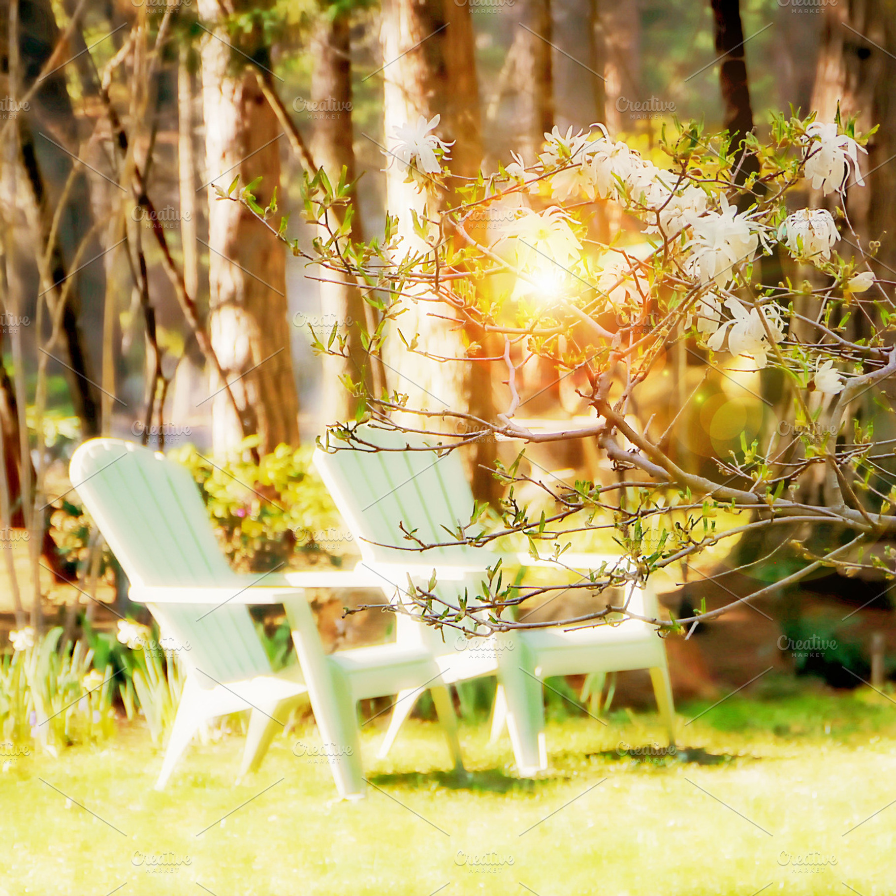 Summertime Duet, a Nature Photo by HAUTEGRAPHIQUE
