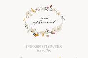 The Art of Ephemeral, an Illustration by Isabelle Salem (Thumbnail 6 of 12)