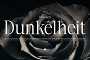 GC Auretha – Modern Luxury Serif, a Serif Font by Glyphonic (Thumbnail 15 of 15)