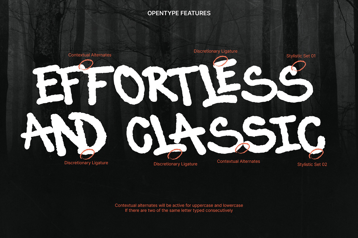 MN Tavera - Handwritten Brush Font, a Handwritten Font by Mantra Naga (Photo 6 of 16)
