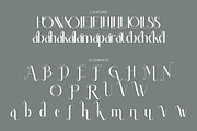 Emellda, a Serif Font by Kenrichi (Thumbnail 7 of 12)