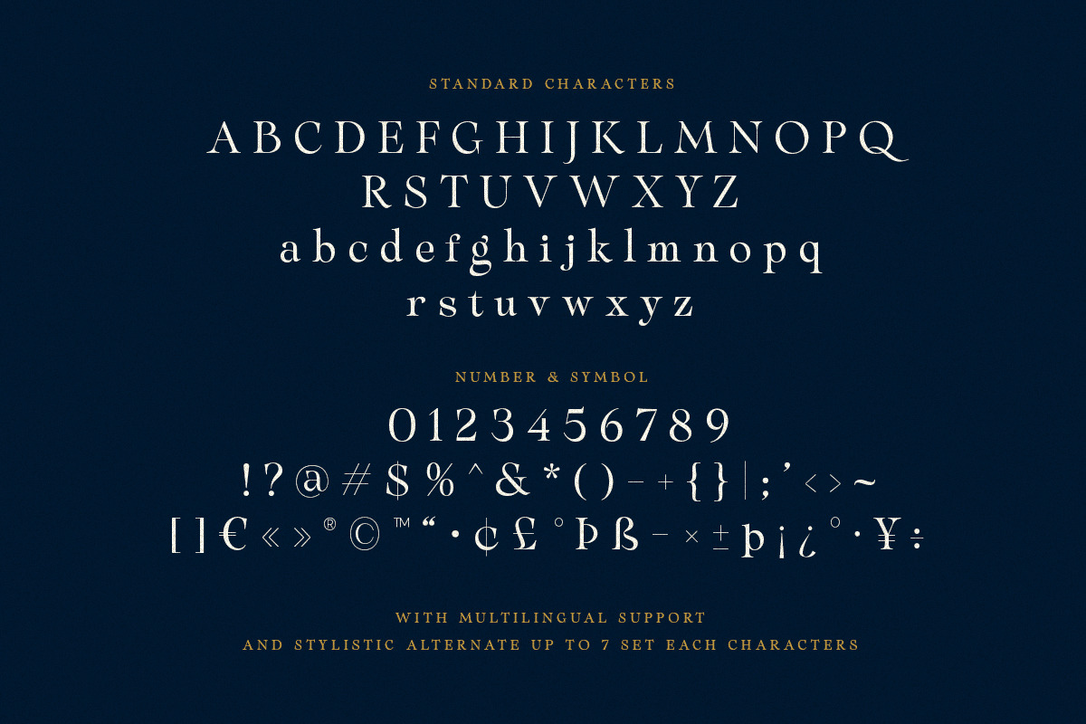 Sparky Dream - Curly Stylish Serif, a Serif Font by Letterhend Studio (Photo 6 of 11)