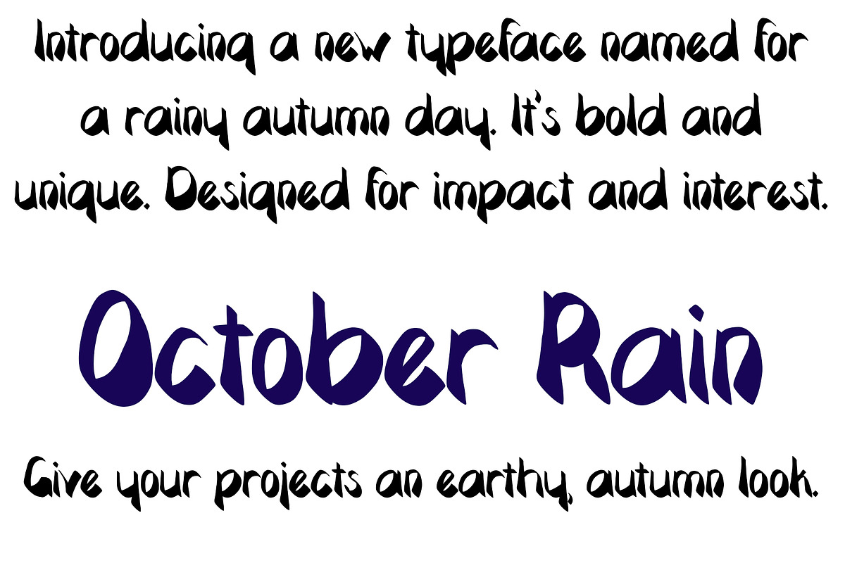 Font October Rain Earthy Autumn Bold, a Sans Serif Font by PageLightStudios (Photo 2 of 4)