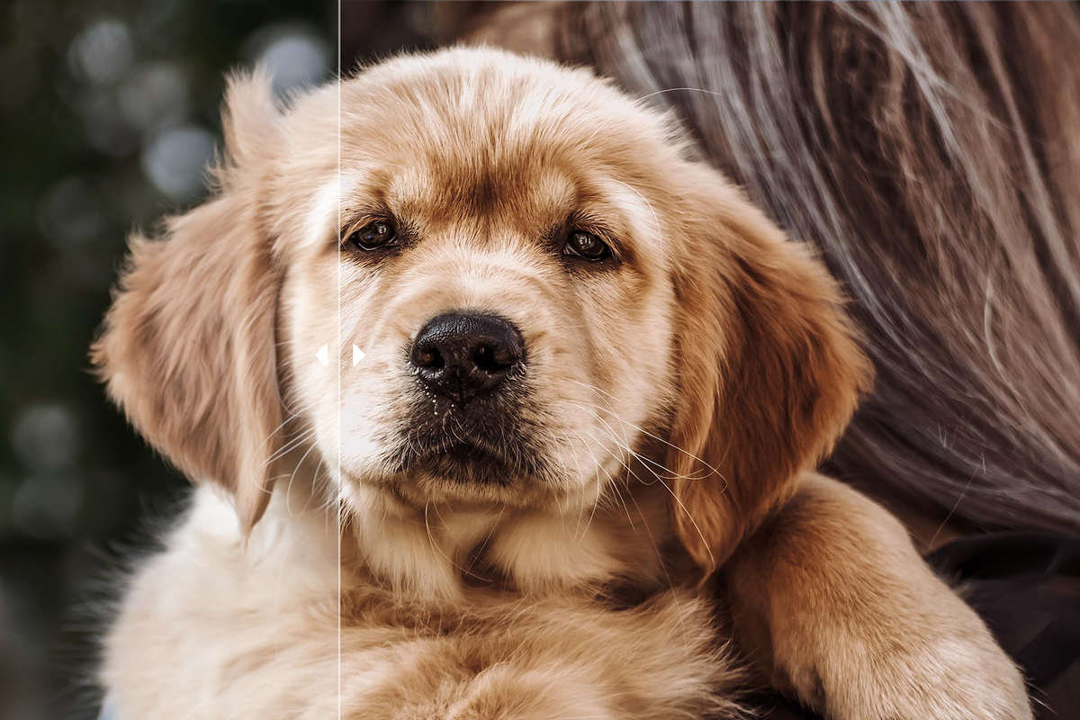 Lightroom Portait Presets (XMP+DNG), a Layer Style Add-On by yosscinematic (Photo 20 of 20)