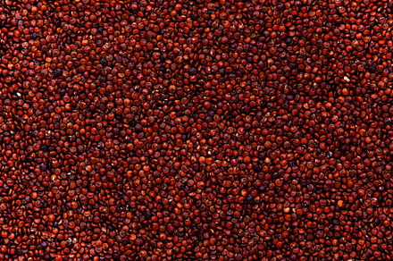 Raw red quinoa groats, food background texture, top view, a Food & Drink Photo by 5PH
