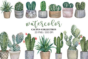 Watercolor Cactus Clipart PNG, an Object Illustration by PatternPalette