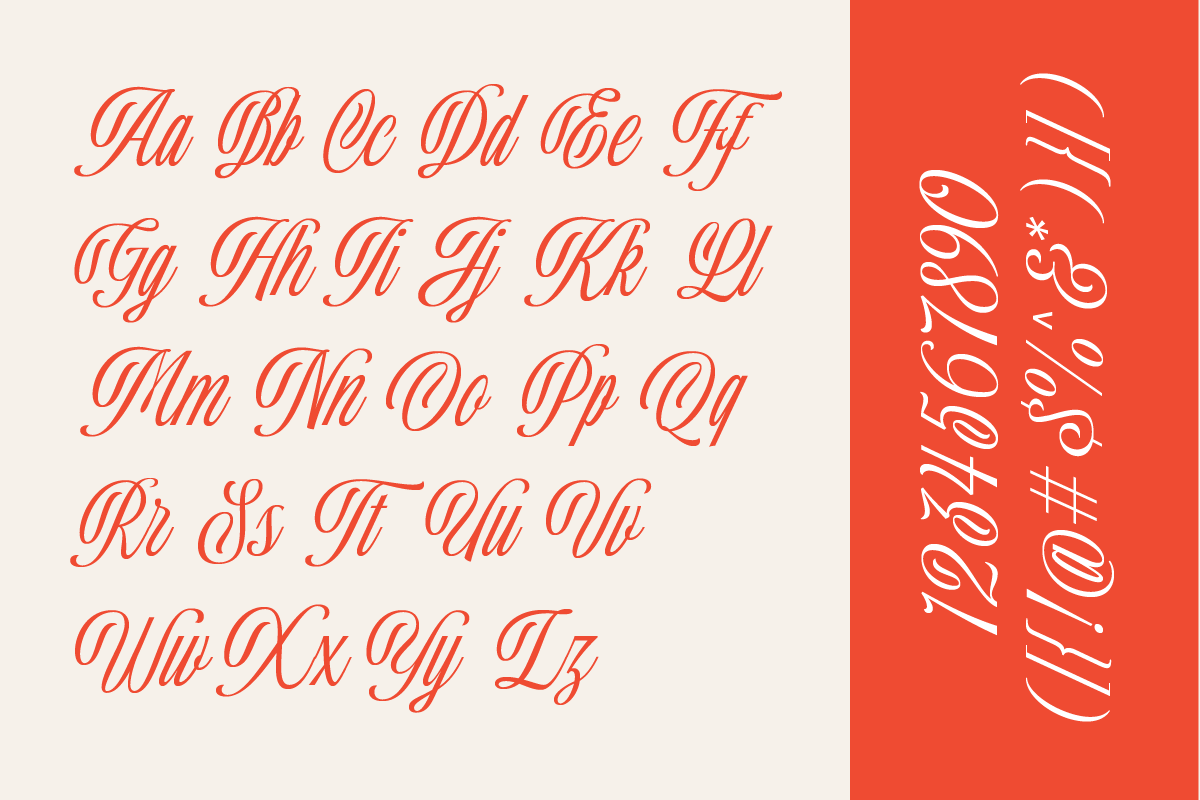 Ballpricks - Vintage Font Duo, a Script Font by Martype (Photo 5 of 12)