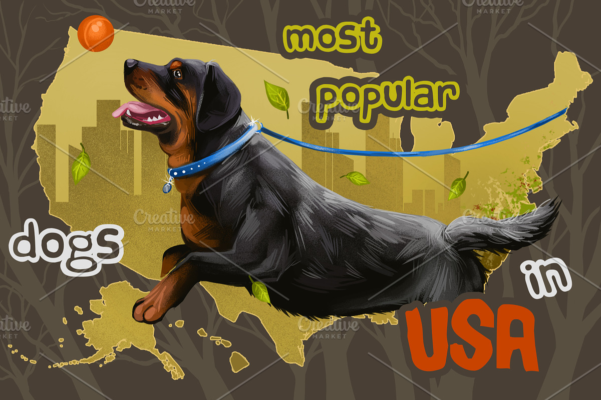 Dogs Most Popular in USA 170 Breeds, an Animal Illustration by Dneprstock