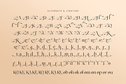 Riona - Luxury Swash Logo Font, a Serif Font by Sensatype (Thumbnail 8 of 12)