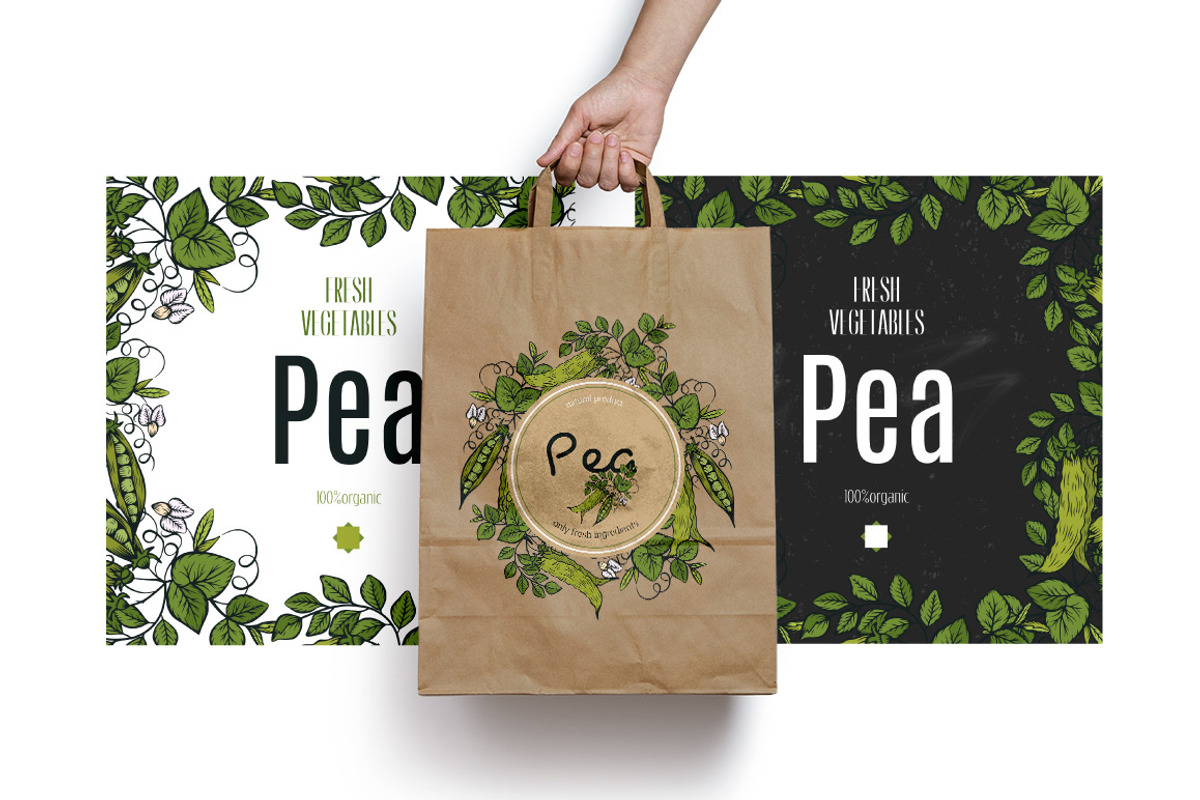 Vector vegetables, a Food Illustration by TashaDraw (Photo 3 of 13)